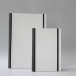 Betabook Pro has an A3-sized (~ 11.7“ x 16.5“) writing surface.